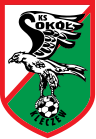 KS Sokół Kleczew